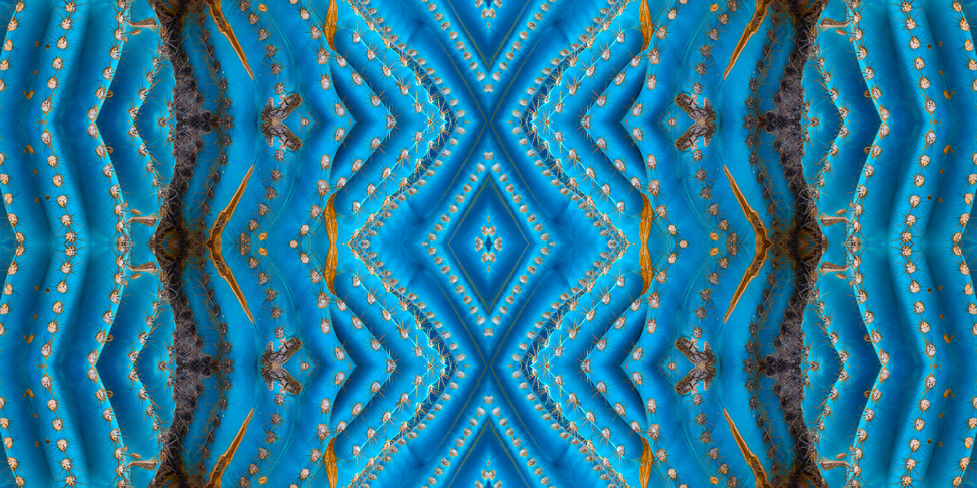 Amazon.com: ONEART | 12