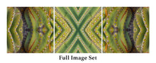 Load image into Gallery viewer, &quot;AGE WITH GRACE&quot;© TM3-12
