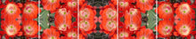 Load image into Gallery viewer, &quot;ALINE&quot;© TM5-20

