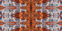 Load image into Gallery viewer, &quot;ANCIENT PATH&quot;© TM1-3618
