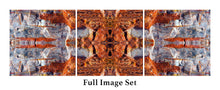 Load image into Gallery viewer, &quot;ANCIENT PATH&quot;© TM3-12
