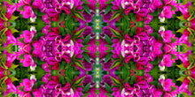 Load image into Gallery viewer, &quot;BALL OF CONFUCHSIA&quot;© TM1-3618
