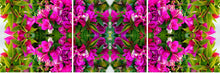 Load image into Gallery viewer, &quot;BALL OF CONFUCHSIA&quot;© TM3-12
