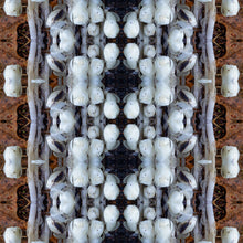 Load image into Gallery viewer, &quot;BLOOMING RIDDLE&quot;© TM1-LE-24
