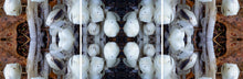 Load image into Gallery viewer, &quot;BLOOMING RIDDLE&quot;© TM3-24
