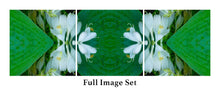 Load image into Gallery viewer, &quot;BUTTERFLY BALLET&quot;© TM3-24
