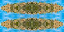 Load image into Gallery viewer, &quot;CACTUS SKYLAND&quot;© TM1-3618
