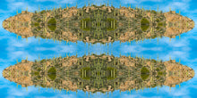 Load image into Gallery viewer, &quot;CACTUS SKYLAND&quot;© TM1-3618
