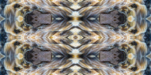 Load image into Gallery viewer, &quot;CHASM CROSSING&quot;© TM1-3618
