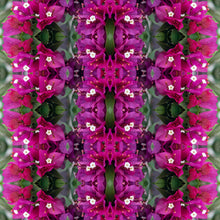 Load image into Gallery viewer, &quot;DEEP WINE BOOGIE&quot;© TM1-LE-24
