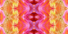 Load image into Gallery viewer, &quot;ELVIRA&quot;© TM1-3618
