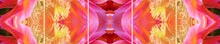 Load image into Gallery viewer, &quot;ELVIRA&quot;© TM5-12
