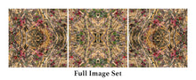 Load image into Gallery viewer, &quot;FAIRY DUSTER&quot;© TM3-12
