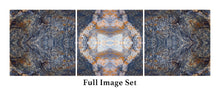 Load image into Gallery viewer, &quot;FANTASIMO&quot;© TM3-12
