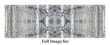 Load image into Gallery viewer, &quot;FOREVER ASPEN&quot;© TM3-12
