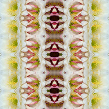 Load image into Gallery viewer, &quot;FORTUNE KOOKIE&quot;© TM1-LE-24
