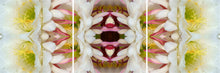 Load image into Gallery viewer, &quot;FORTUNE KOOKIE&quot;© TM3-12
