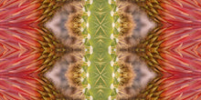 Load image into Gallery viewer, &quot;FRANK&quot;© TM1-3618
