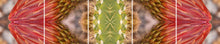 Load image into Gallery viewer, &quot;FRANK&quot;© TM5-12
