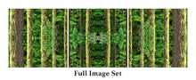 Load image into Gallery viewer, &quot;GLACIER GLORY&quot;© TM3-24
