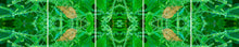 Load image into Gallery viewer, &quot;GREEN ANGEL&quot;© TM5-12
