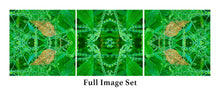 Load image into Gallery viewer, &quot;GREEN ANGEL&quot;© TM3-12
