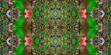 Load image into Gallery viewer, &quot;HAMADRYAD&quot;© TM1-3618
