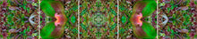Load image into Gallery viewer, &quot;HAMADRYAD&quot;© TM5-12

