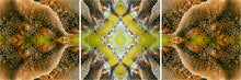 Load image into Gallery viewer, &quot;HEX VORTEX&quot;© TM3-12
