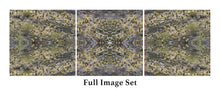Load image into Gallery viewer, &quot;HILLSIDE SURPRISE&quot;© TM3-12
