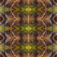 Load image into Gallery viewer, &quot;HONEY RYDER&quot;© TM1-LE-24
