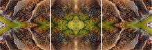 Load image into Gallery viewer, &quot;HONEY RYDER&quot;© TM3-12
