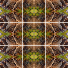 Load image into Gallery viewer, &quot;HONEY RYDER&quot;© TM9-24 Krys Glyphs Stacked
