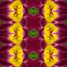 Load image into Gallery viewer, &quot;IMPULSE DECODER&quot;© TM1-LE-24
