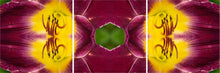 Load image into Gallery viewer, &quot;IMPULSE DECODER&quot;© TM3-12
