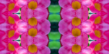 Load image into Gallery viewer, &quot;KOLOUR ROYALE&quot;© TM1-3618
