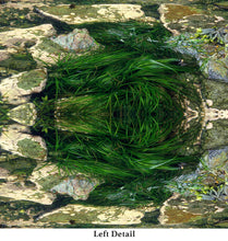 Load image into Gallery viewer, &quot;KRYSTAL KELP&quot;© TM9-24 Krys Glyphs Stacked
