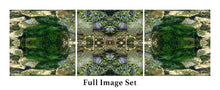Load image into Gallery viewer, &quot;KRYSTAL KELP&quot;© TM3-12
