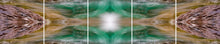 Load image into Gallery viewer, &quot;LAKEVIEW DERVISH&quot;© TM5-12

