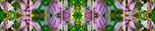 Load image into Gallery viewer, &quot;LAVENDER DESIRE&quot;© TM5-6
