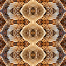 Load image into Gallery viewer, &quot;LOVE LACE LATTICE&quot;© TM1-LE-24
