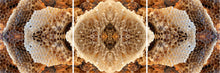 Load image into Gallery viewer, &quot;LOVE LACE LATTICE&quot;© TM3-12
