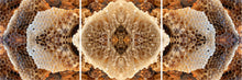 Load image into Gallery viewer, &quot;LOVE LACE LATTICE&quot;© TM3-12
