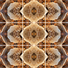 Load image into Gallery viewer, &quot;LOVE LACE LATTICE&quot;© TM9-6 Krys Glyphs Stacked
