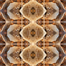 Load image into Gallery viewer, &quot;LOVE LACE LATTICE&quot;© TM9-6 Krys Glyphs Stacked
