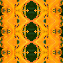 Load image into Gallery viewer, &quot;MANDARIN DAWN&quot;© TM1-LE-24

