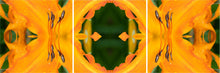 Load image into Gallery viewer, &quot;MANDARIN DAWN&quot;© TM3-24
