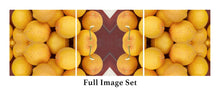 Load image into Gallery viewer, &quot;MEYER MERENGUE&quot;© TM3-12
