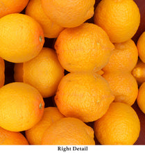 Load image into Gallery viewer, &quot;MEYER MERENGUE&quot;© TM3-12
