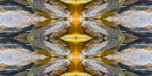 Load image into Gallery viewer, &quot;MIXCOATL&quot;© TM1-3618
